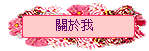 關於我