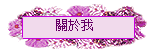 關於我