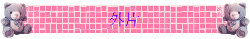 外片