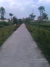 花草相伴的腳踏車步道