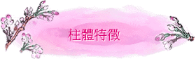 WSx