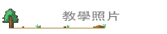 оǷӤ