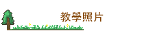 оǷӤ
