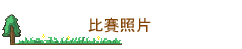 ɷӤ