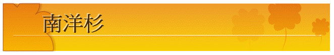 nv