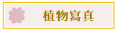Ӫgu
