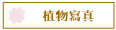 Ӫgu