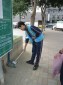Thumbs/tn_IMG_2594.jpg