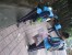 Thumbs/tn_IMG_0504.jpg