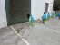Thumbs/tn_IMG_2674.jpg