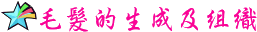 s01t.gif (3151 bytes)