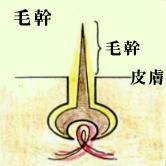 x11.jpg (5032 Ӧ줸)