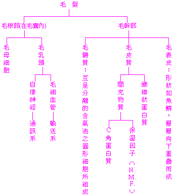 x14-1.gif (4494 bytes)