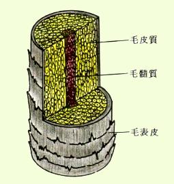 x16.jpg (14398 bytes)