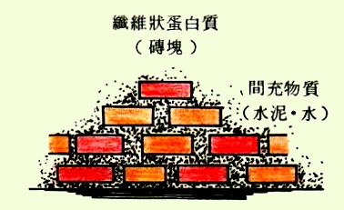 x18.jpg (18418 bytes)