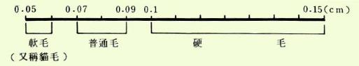 x24.jpg (6540 個位元組)