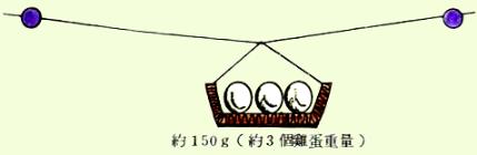 x26.jpg (6516 個位元組)