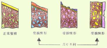 s04.jpg (12114 個位元組)