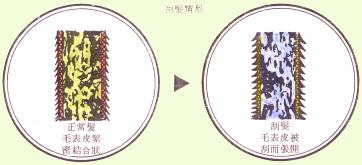 s05.jpg (12497 個位元組)