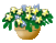 flower05.gif (2081 Ӧ줸)