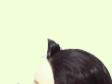 189.jpg (1349 Ӧ줸)