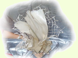 l01.jpg (23952 Ӧ줸)