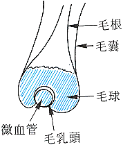 s01.gif (7040 bytes)