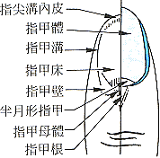 s02.gif (7174 bytes)