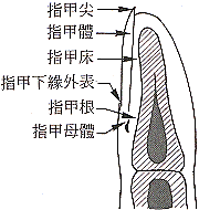 s03.gif (8985 bytes)